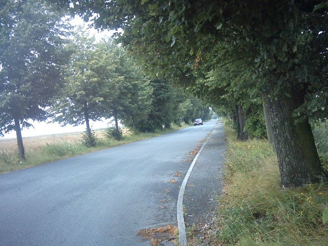 1km of tree-lined trees Berthelsdorf to Herrnhut walked daily in prayer and praise