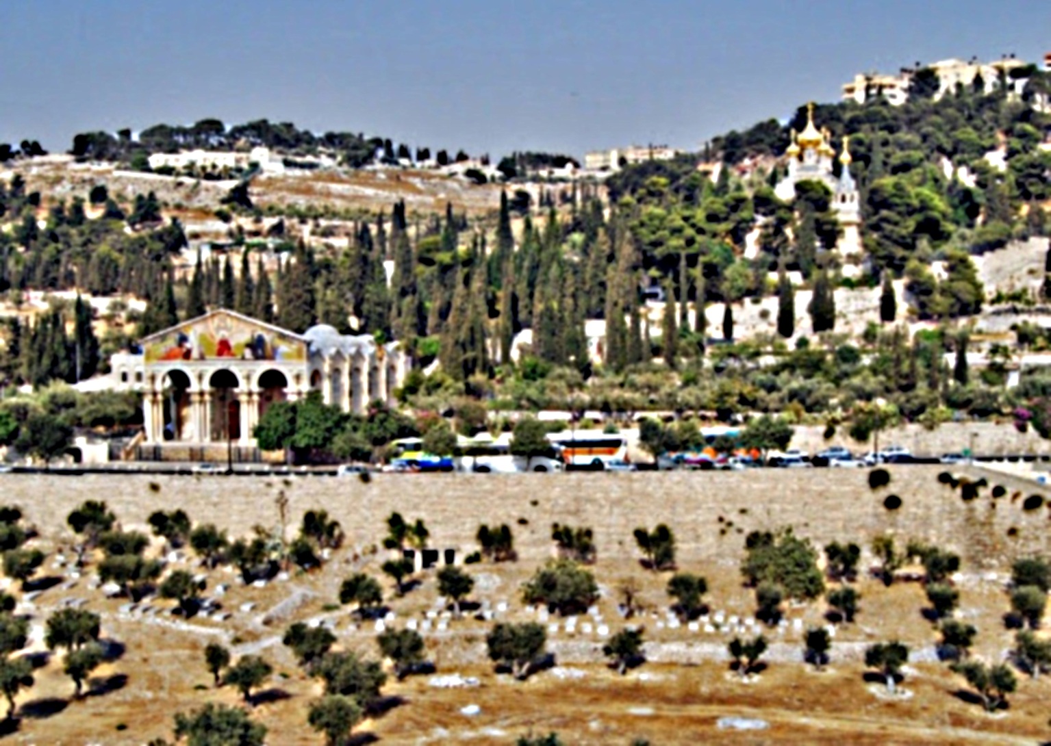 gethsemane-mt-of-olives