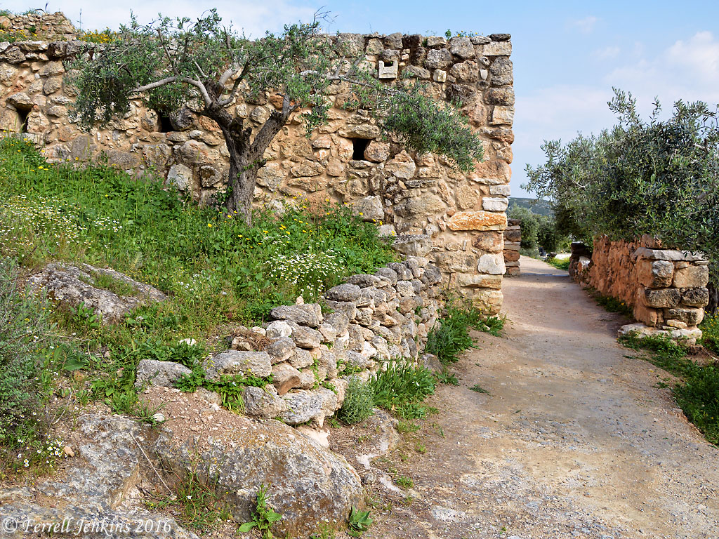 Nazareth Village path and houses