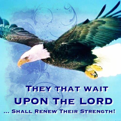 Isa 40,31